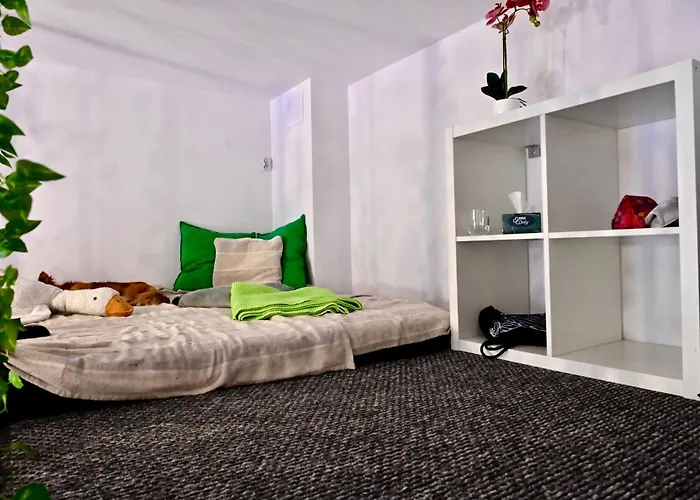 Boogie Home